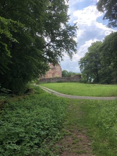 Von Gemünden am Main zur Ruine Schönrain