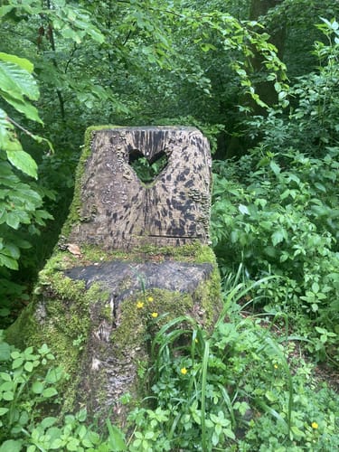 Tour 16 - Unterwegs im Rohrer Wald: rot