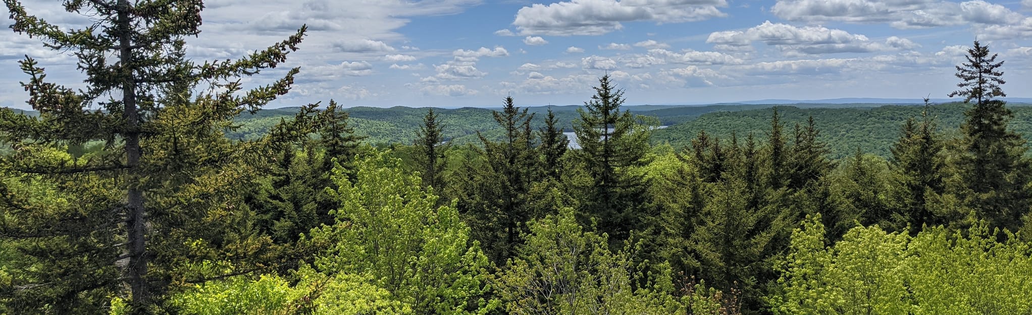 Woodhull Mountain Trail 147 Reviews, Map New York AllTrails