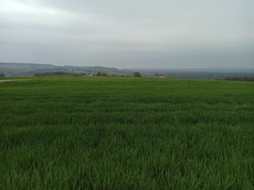 Rundwanderweg Graisbach - Leitheim
