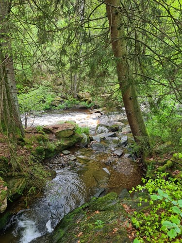 Klosterroute Monschau