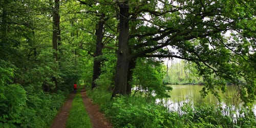 Schloss Tiefenau und Tiefenauer Teiche