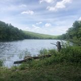 Trout Pond and Mud Pond Loop, New York - 152 Reviews, Map | AllTrails