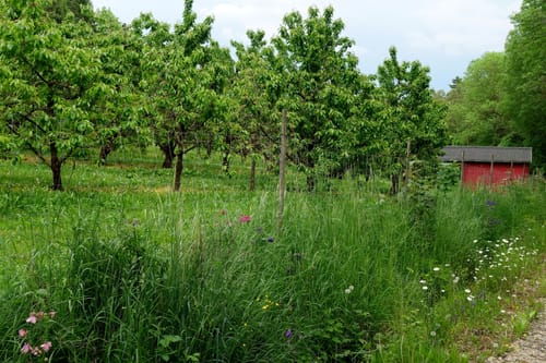 Zum Lindelberg ab Igensdorf
