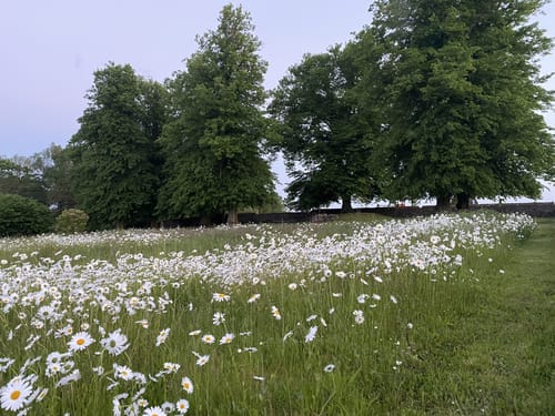 Usedom: Mahlzow - Krummin - Neeberg