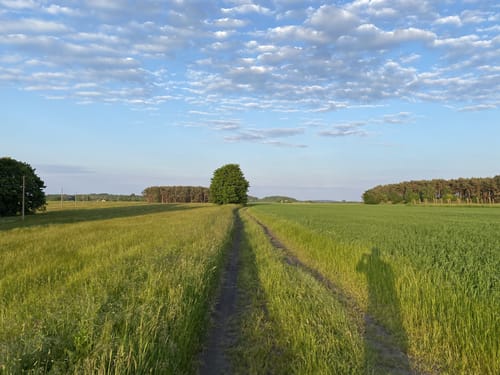 Usedom: Mahlzow - Krummin - Neeberg
