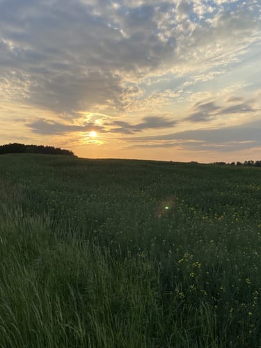 Usedom: Mahlzow - Krummin - Neeberg