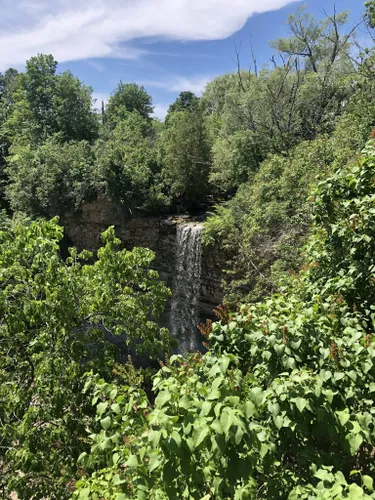 Best Views Trails in Borer's Falls Conservation Area | AllTrails