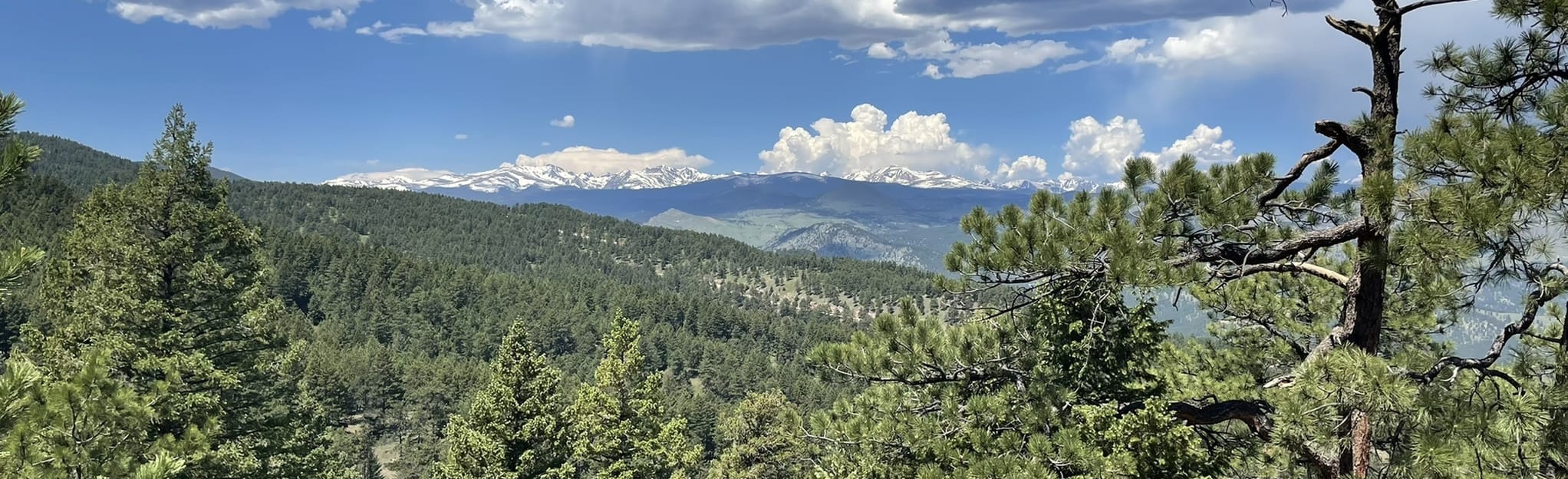 Gregory Canyon, Ranger, E.M. Greenman, Saddle Rock Loop Map, Guide