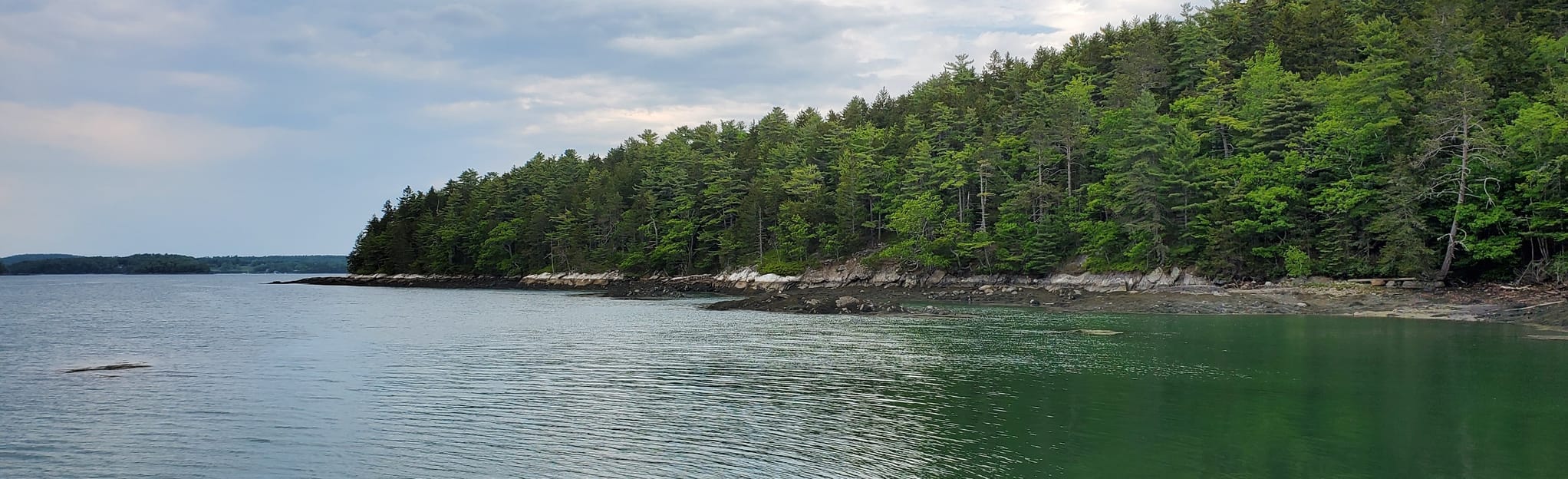 Cove View, Shore, Kelsey Quarry, and Plummer Cove Trail 133 Reviews