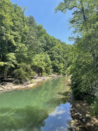 10 Best Hikes and Trails in Cumberland Trail State Park | AllTrails