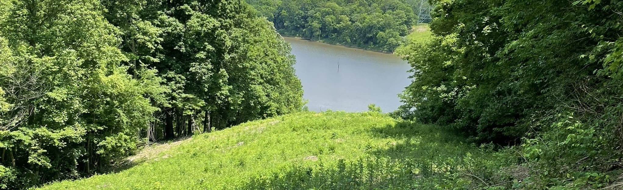 Intermediate, Lake, Beach, and Clover Road Trail 214 Reviews, Map