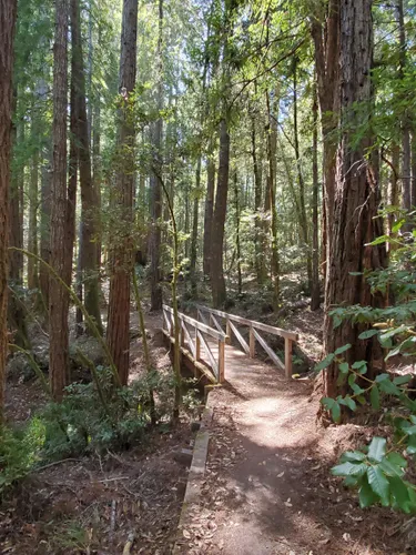 Best Hikes and Trails in Cazadero