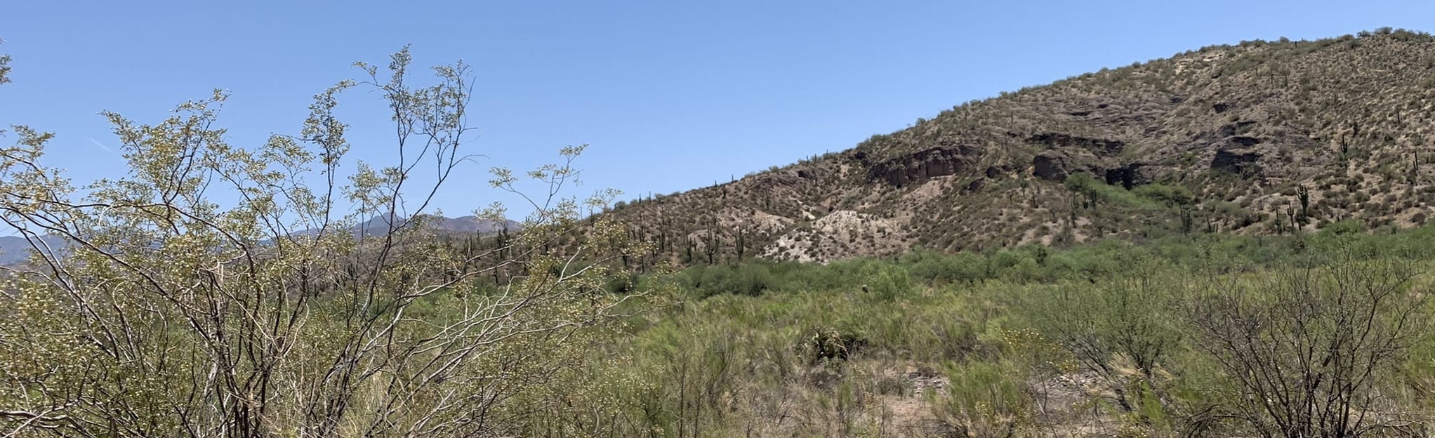 Sheep Bridge Hot Spring from FR205 32 foto's Arizona AllTrails