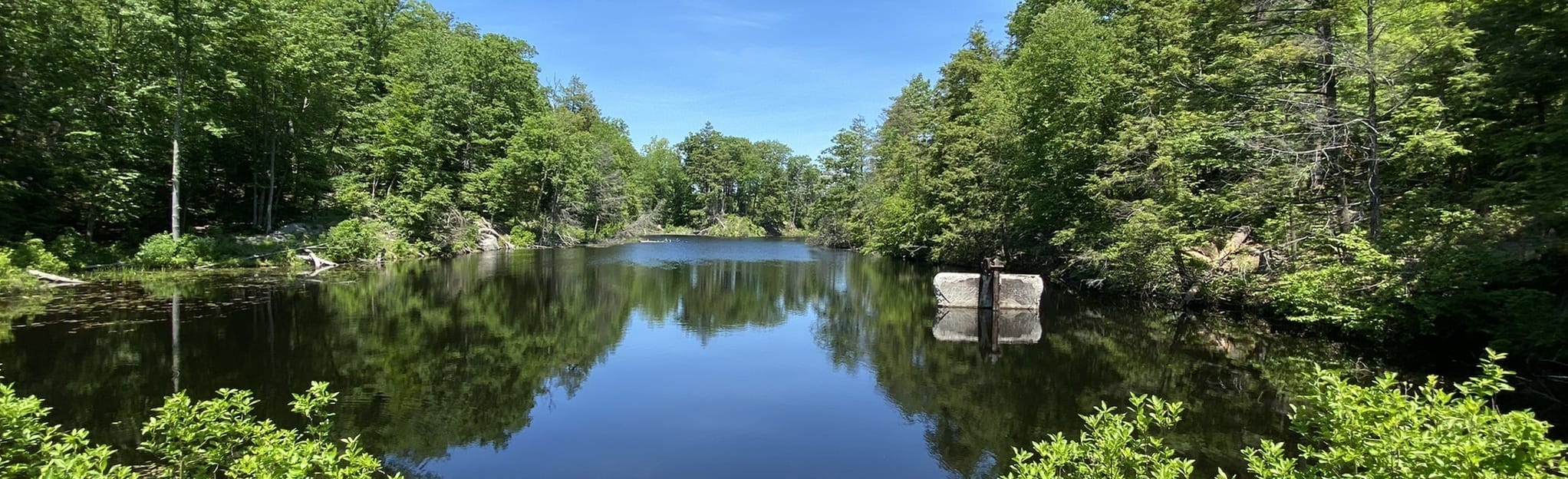 Pelton Pond, New York 511 Reviews, Map AllTrails