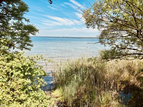 Müritz West MTB Runde