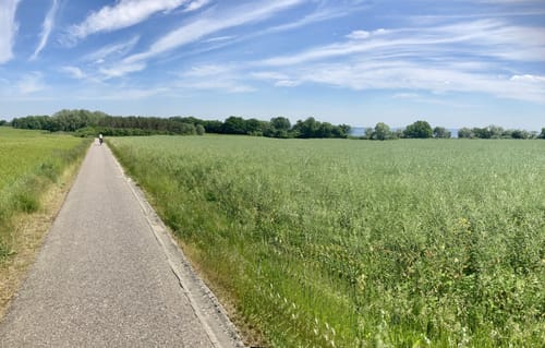 Müritz West MTB Runde