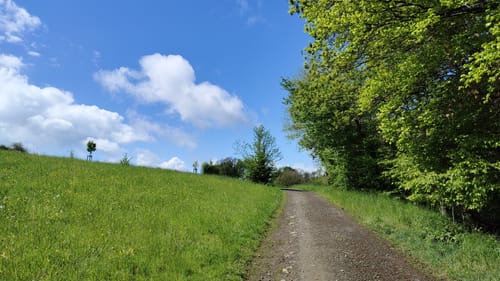 Wenigerbachrunde