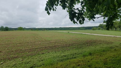 Schwackenreute nach Wackershofen