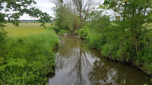 Schwackenreute nach Wackershofen