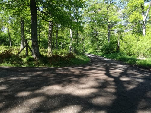 Rund um Lauenberg