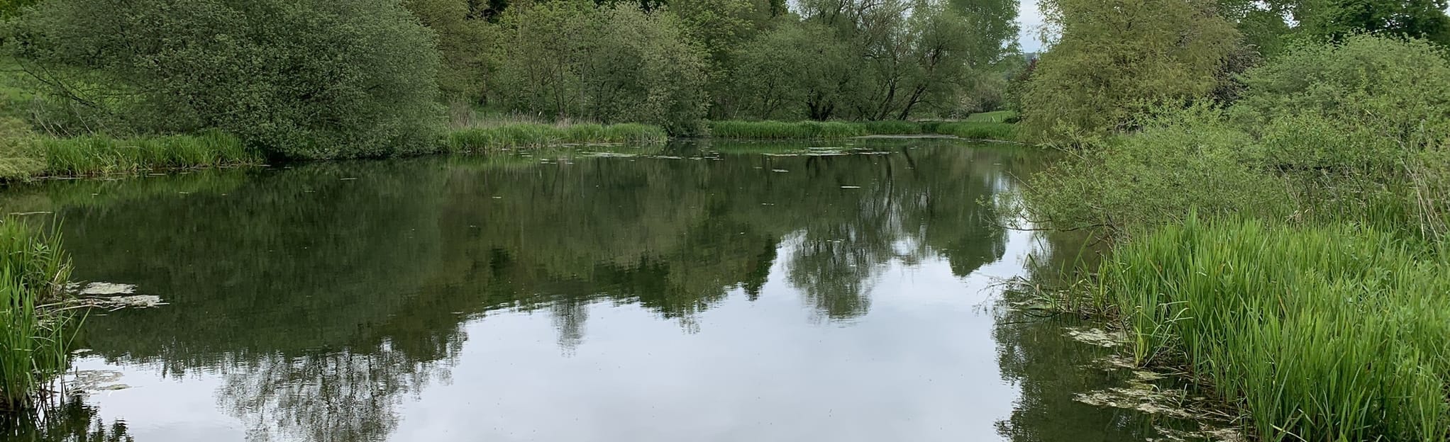 Market Weighton Londesborough Park, East Riding of Yorkshire, England 105 Reviews, Map