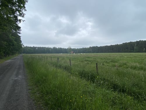 Isernhagen nach Fuhrberg