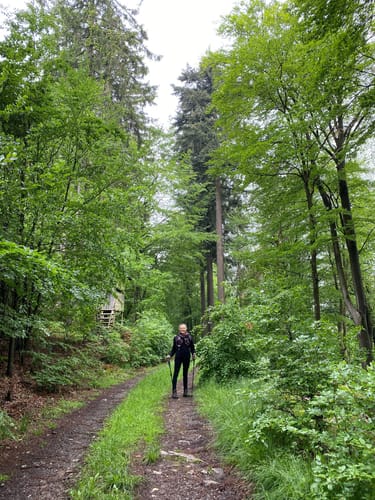 Runde an der Gemündener Höhe