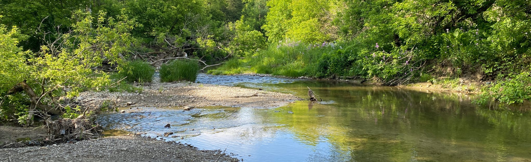 Oshawa Creek Trail : 200 Reviews, Map - Ontario, Canada | AllTrails