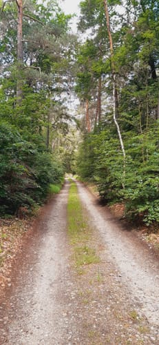 Reitroute R Sitzenroda