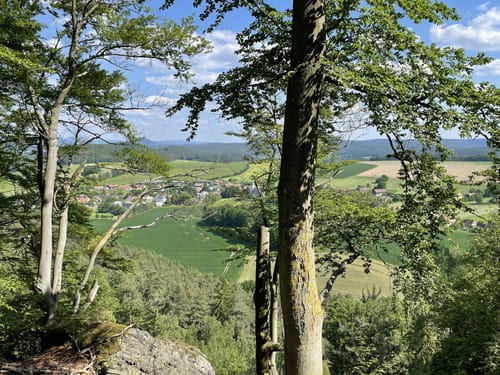 Gohrisch und Papststein