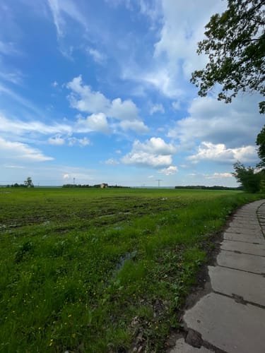 Rundwanderweg Waldpark Zwickau