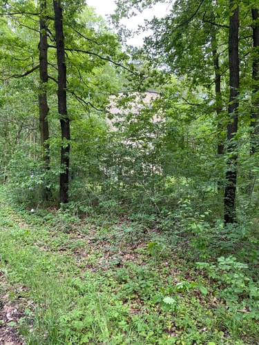 Rundwanderweg Waldpark Zwickau