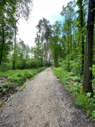 Rundwanderweg Waldpark Zwickau