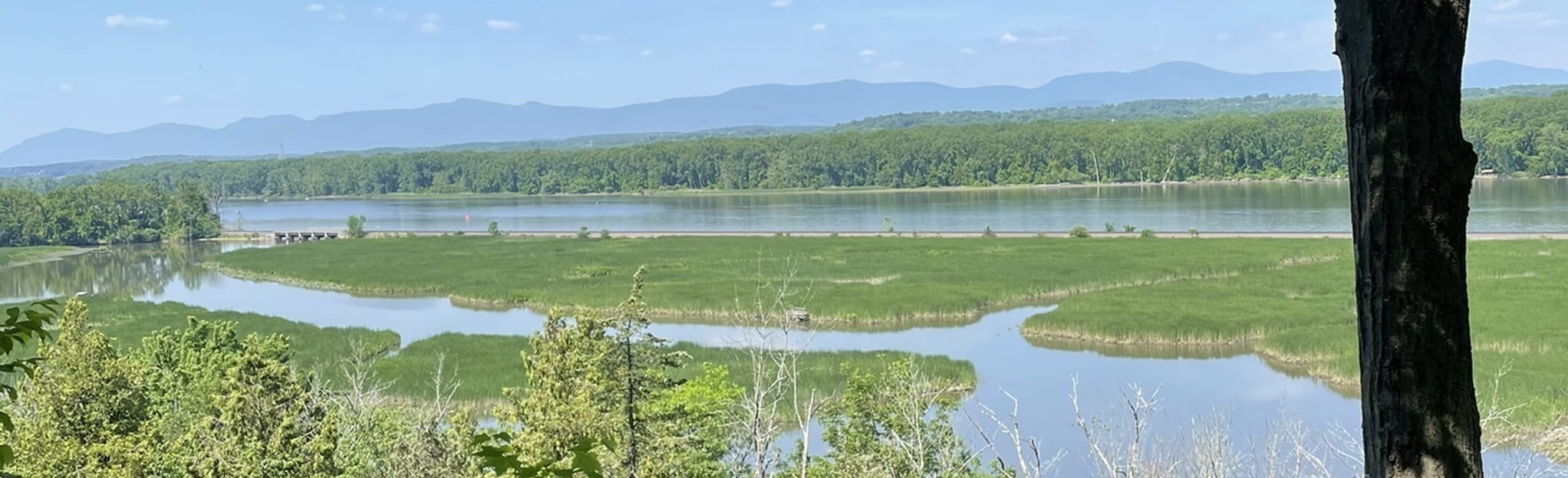 Greenport Conservation Blue Area Trail 47 Reviews, Map New York AllTrails