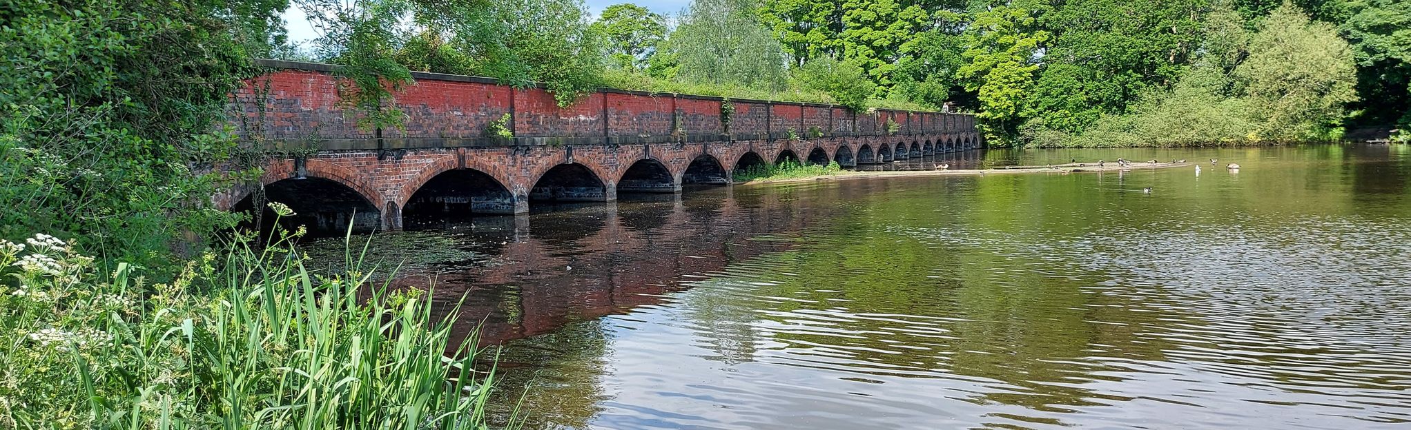 swinley trail map