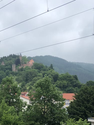 Neckarsteig Etappe 3: Neckarsteinach - Hirschhorn