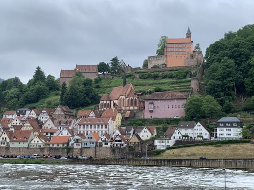 Pleutersbach - Eberbach - Rothenberg - Hirschorn