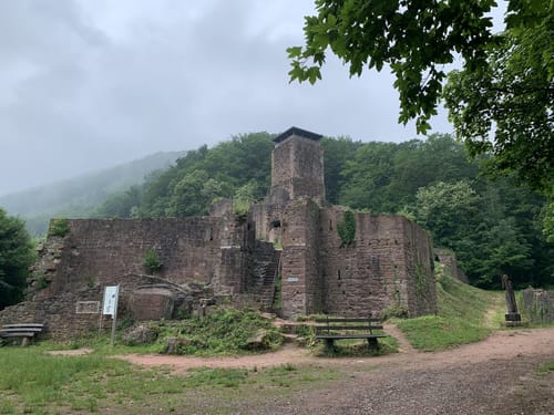 Neckarsteig Etappe 3: Neckarsteinach - Hirschhorn