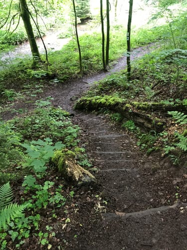 Hangarder Brunnenpfad (Premiumwanderweg)