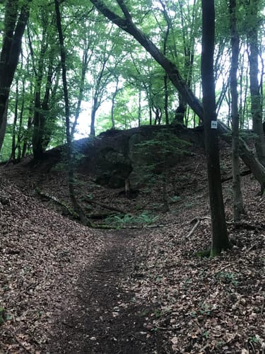 Hangarder Brunnenpfad (Premiumwanderweg)