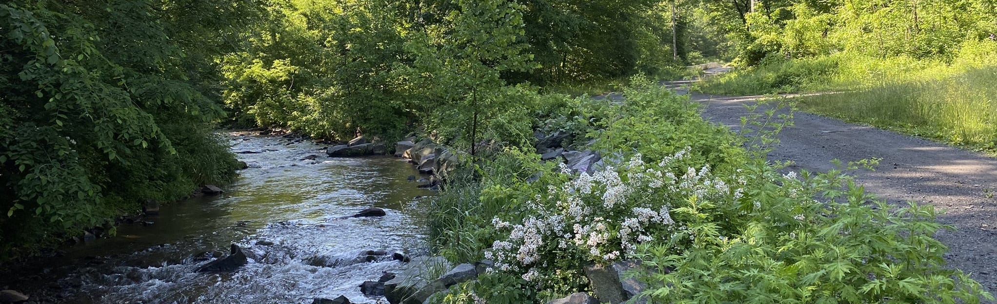 AllTrails Birdsboro Quarry Climbing Approach 107 Reviews, Map