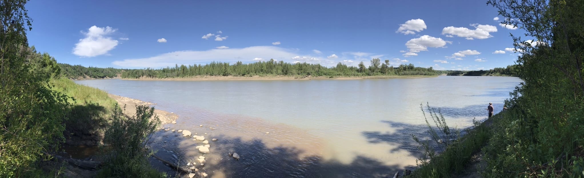 Wedgewood Ravine, Alberta, Canada 116 Reviews, Map AllTrails