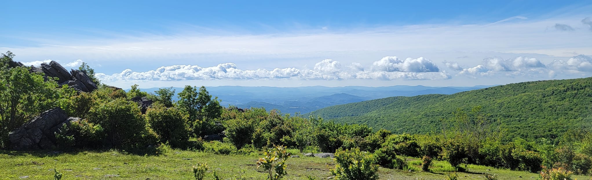 Massie Gap and Wilburn Ridge Loop, Virginia 819 Reviews, Map AllTrails