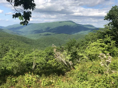 10 Best Beach Trails in George - EyJidWNrZXQiOiJhc3NldHMuYWxsdHJhaWxzLmNvbSIsImtleSI6InVwbG9hZHMvcGhvdG8vaW1hZ2UvMzcyMzYzOTUvZDhhZjkxMjA0MDExZDc5MzRhNGY1OWY2MmIwYmQyODMuanBnIiwiZWRpdHMiOnsidG9Gb3JtYXQiOiJ3ZWJwIiwicmVzaXplIjp7IndpZHRoIjo1MDAsImhlaWdodCI6NTAwLCJmaXQiOiJpbnNpZGUifSwicm90YXRlIjpudWxsLCJqcGVnIjp7InRyZWxsaXNRdWFudGlzYXRpb24iOnRydWUsIm92ZXJzaG9vdERlcmluZ2luZyI6dHJ1ZSwib3B0aW1pc2VTY2FucyI6dHJ1ZSwicXVhbnRpc2F0aW9uVGFibGUiOjN9fX0=