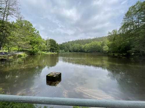 Wanderung in Leubnitz