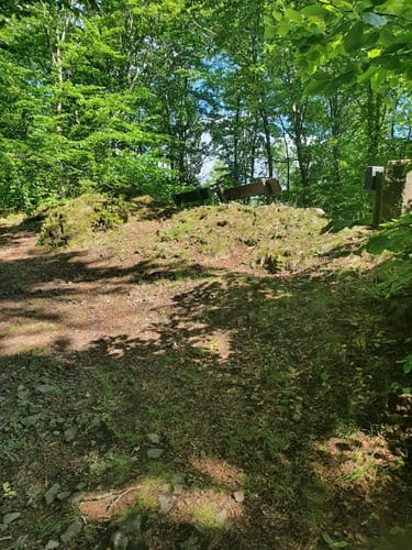Von Schlitz zum Basaltfelsen