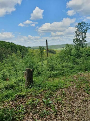 Von Schlitz zum Basaltfelsen