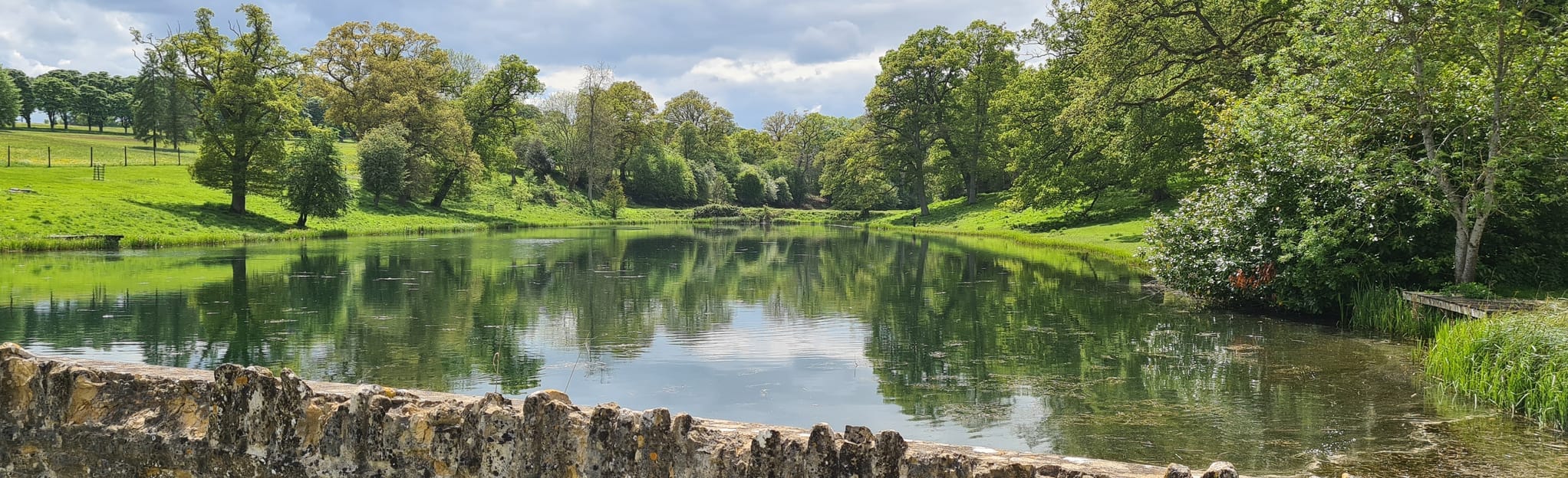 Wychwood Forest, Oxfordshire, England 136 Reviews, Map AllTrails