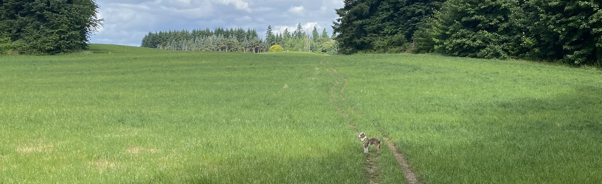 Brush Prairie Loops, Washington 98 Reviews, Map AllTrails